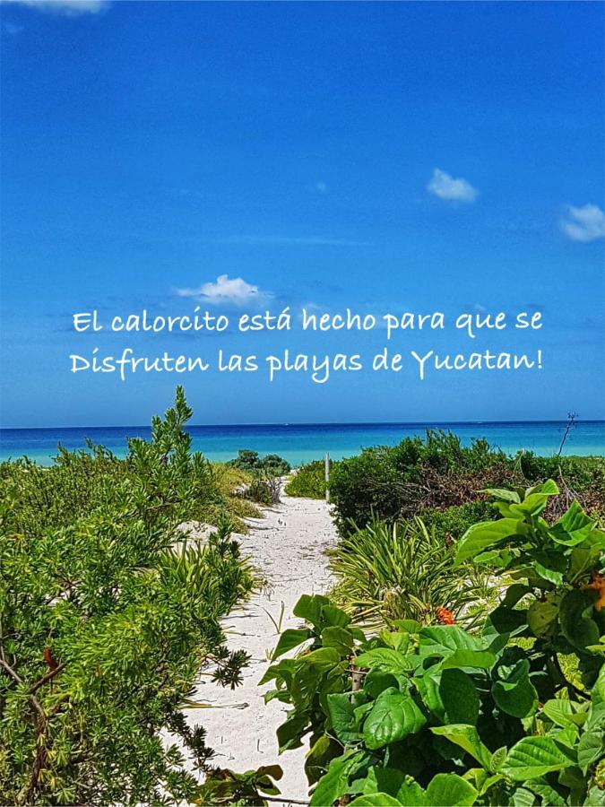 Willa La Casa Del Mangle Pueblo Pueblo Chicxulub Zewnętrze zdjęcie
