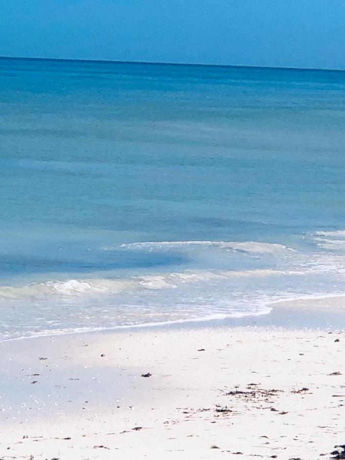 Willa La Casa Del Mangle Pueblo Pueblo Chicxulub Zewnętrze zdjęcie